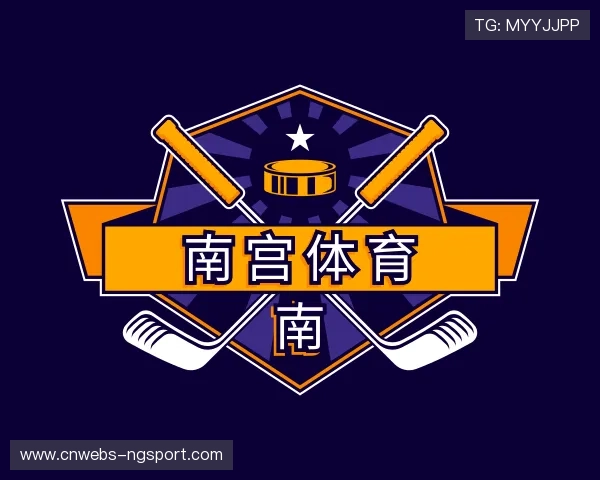 解读南宫体育公司